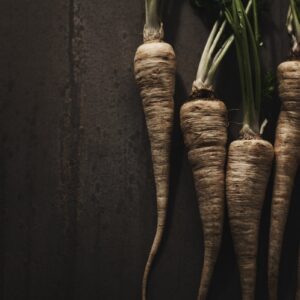 macro photography four brown carrots